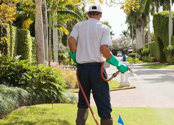 About Northpoint PA Pest Control